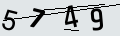 verifycode